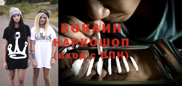 дмт Богданович