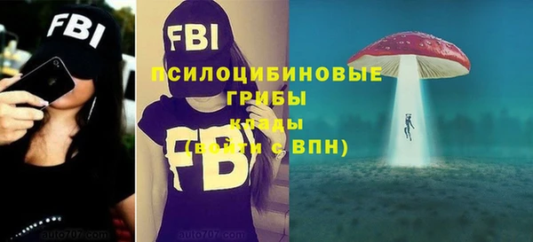 дмт Богданович