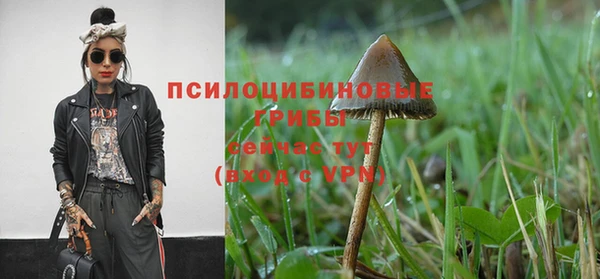 a pvp Богородицк