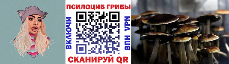 MEGA сайт сколько стоит Муравленко Галлюциногенные грибы мицелий